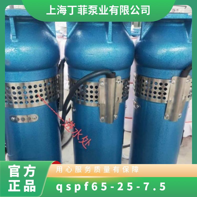 QSPF65-257.5不锈钢喷泉泵 卧式 10m~60m 电动 清水泵 不阻塞