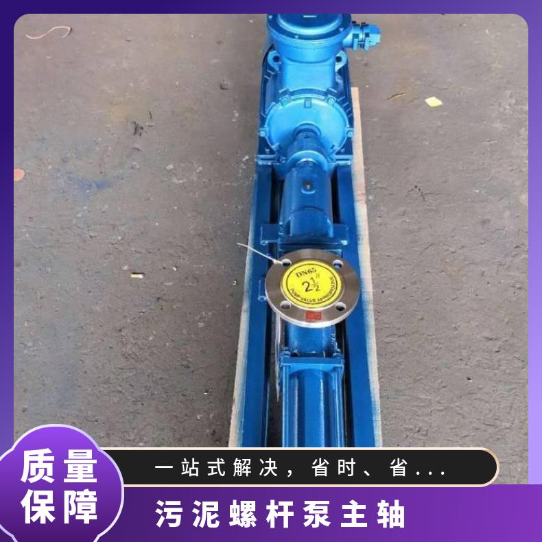 防爆不锈钢螺杆 污泥配件 10m~60m 电动 排污泵 边立式 不阻塞