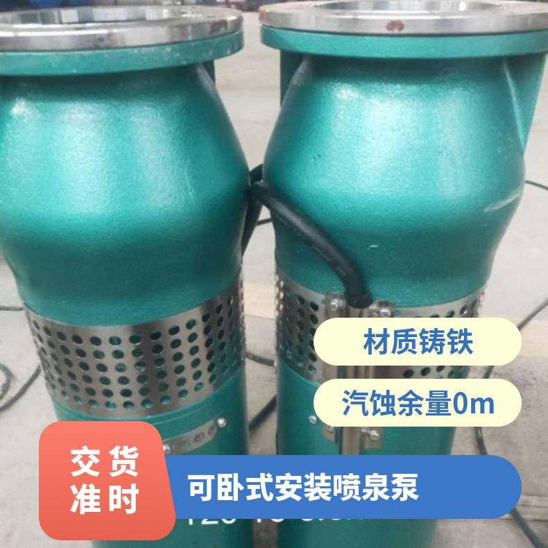 QSP65-3喷泉泵的计算 不阻塞 10m~60m 单叶轮 清水泵 卧式 电动
