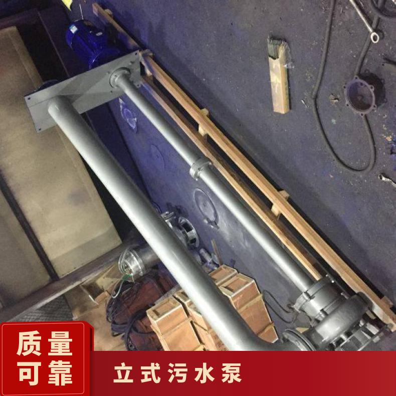 NL80-12 508 污水泥浆 10m~60m 边立式 不阻塞 排污泵 电动