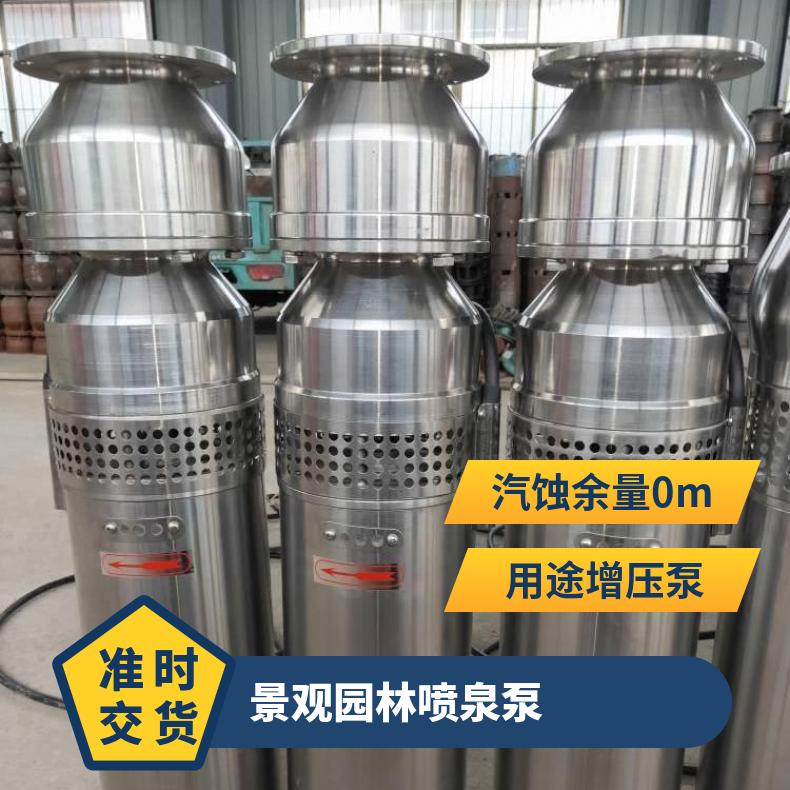 QS40-/27.5 景观园林喷泉泵 电动 10m~60m 不阻塞 卧式 清水泵