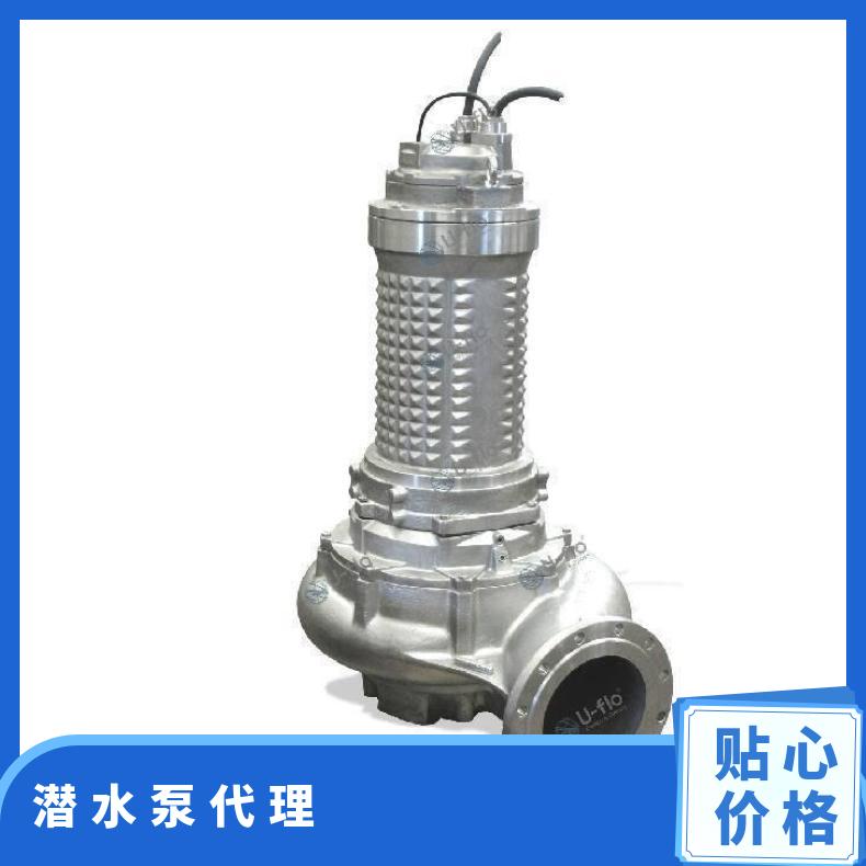 进口智能潜水泵 ***水泵 不阻塞 单叶轮 10m~60m 电动 50kg 边立