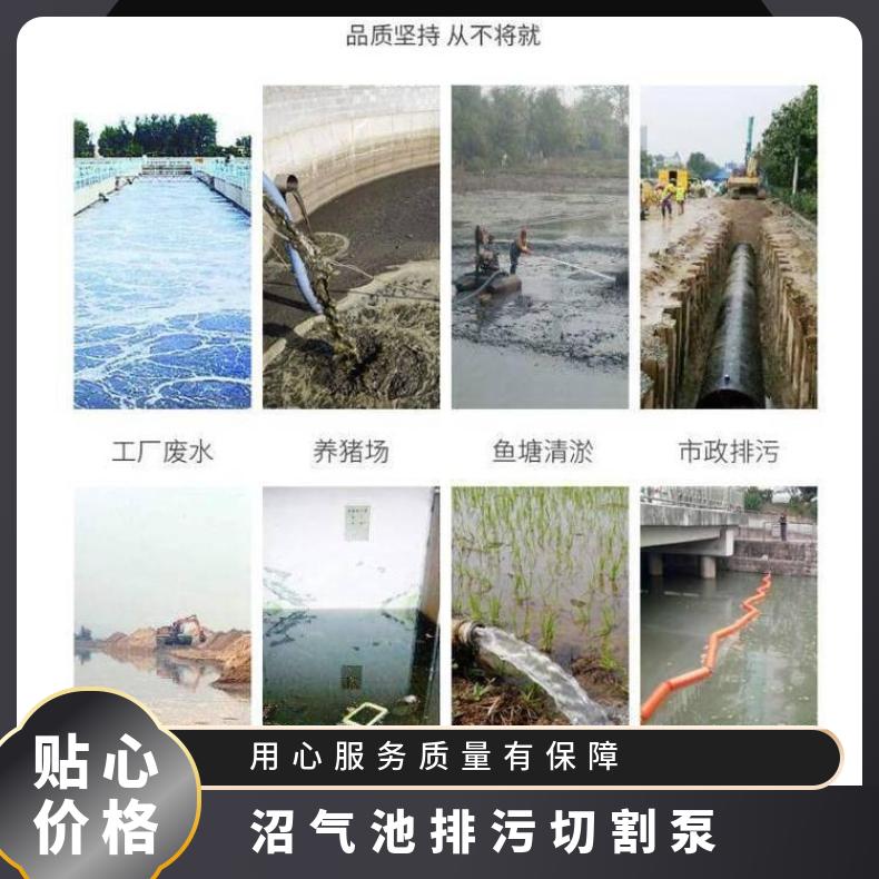 65XWQ40-205.5 沼气池 10m~60m 切割排污泵 不阻塞
