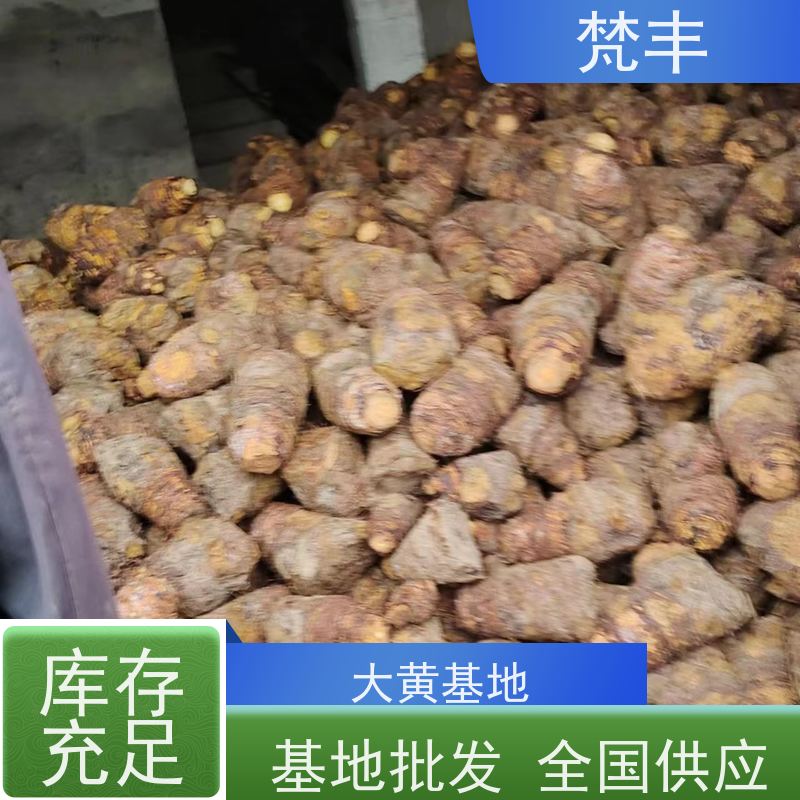 梵丰 大黄回收 各种规格支持过筛 库存充足 厂家供应