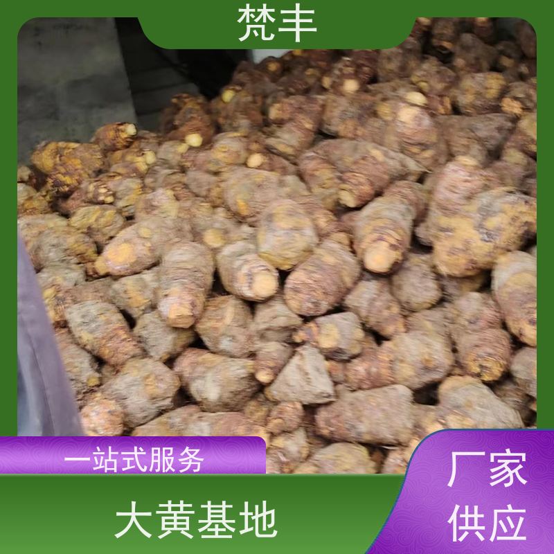 梵丰 大黄基地 各种规格支持过筛 库存充足 切片加工