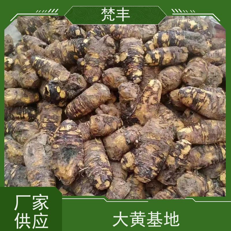 梵丰 大黄专用除草剂 原产地 种植基地 库存充足 切片加工