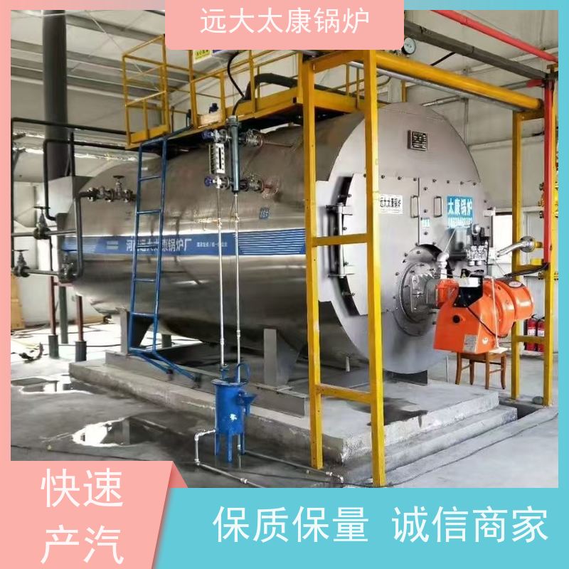1吨 水泥制品养护 橡胶乳化 设计新颖 占地面积小 远大太康 电蒸汽锅炉