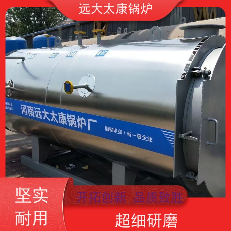 6吨 生物制药 洗涤烫熨 设计新颖 占地面积小 远大太康 电蒸汽锅炉