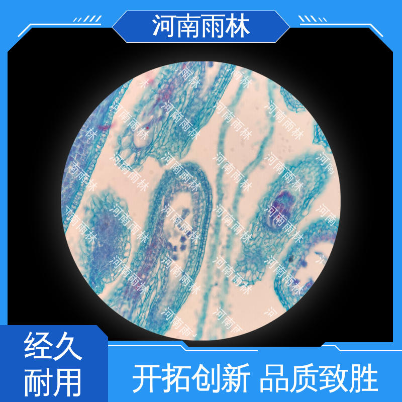 一对一质检 可后期加工 专业 显微切片 雨林教育工程