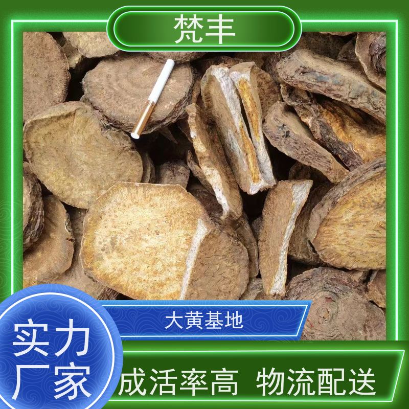 梵丰 大黄专用除草剂 中药材苗容易种活 在线接单 物流配送 