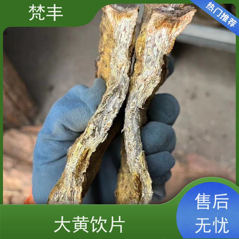 梵丰 大黄回收 抗虫害全国发货 库存充足 成活率高