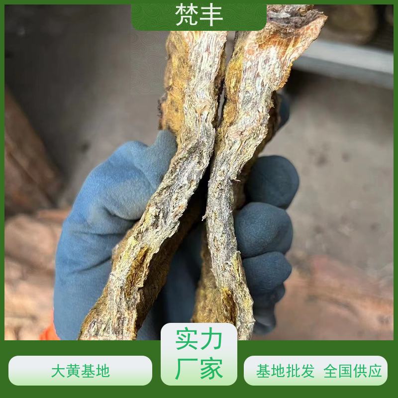 梵丰 大黄饮片 抗虫害全国发货 在线接单 物流配送 