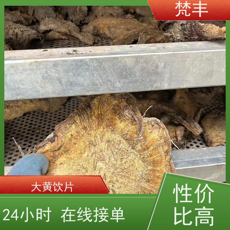 梵丰 大黄驯化种子 成活率高 品质好 库存充足 厂家供应