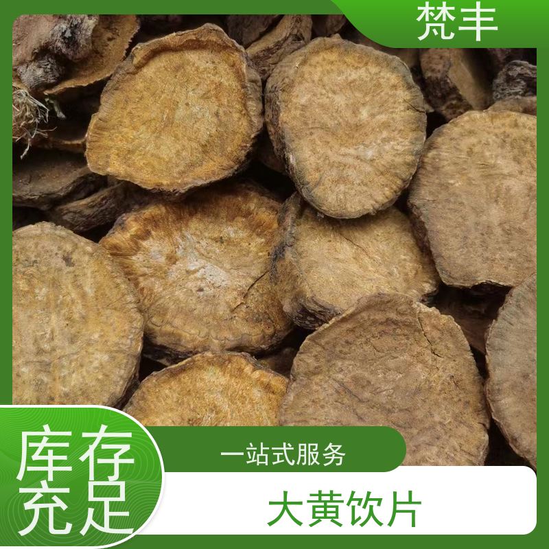 梵丰 大黄驯化技术 抗虫害全国发货 长期供应 诚信经营