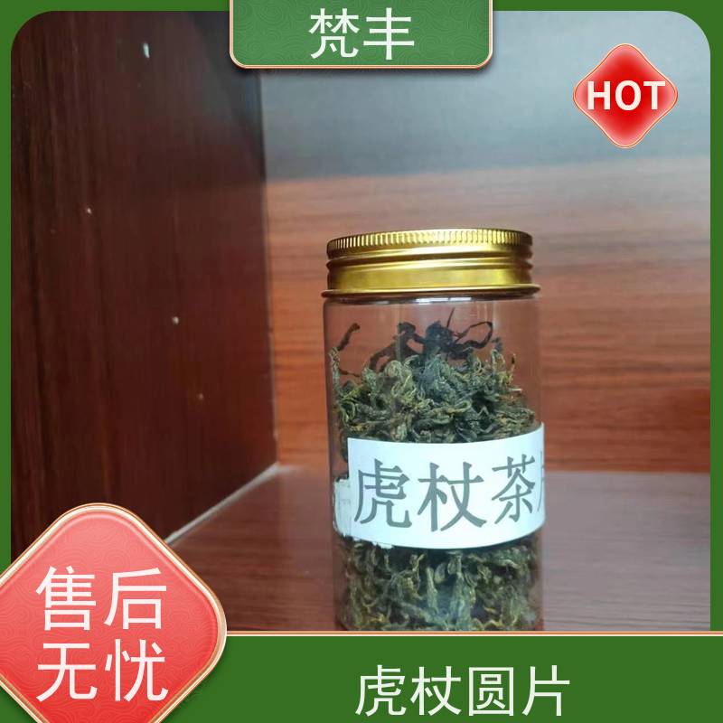 梵丰 虎杖驯化技术 中药材苗容易种活 基地直发 供货及时
