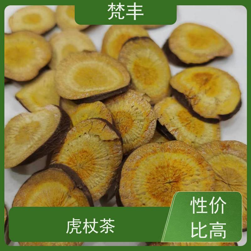 梵丰 虎杖驯化苗 中药材苗容易种活 长期供应 诚信经营