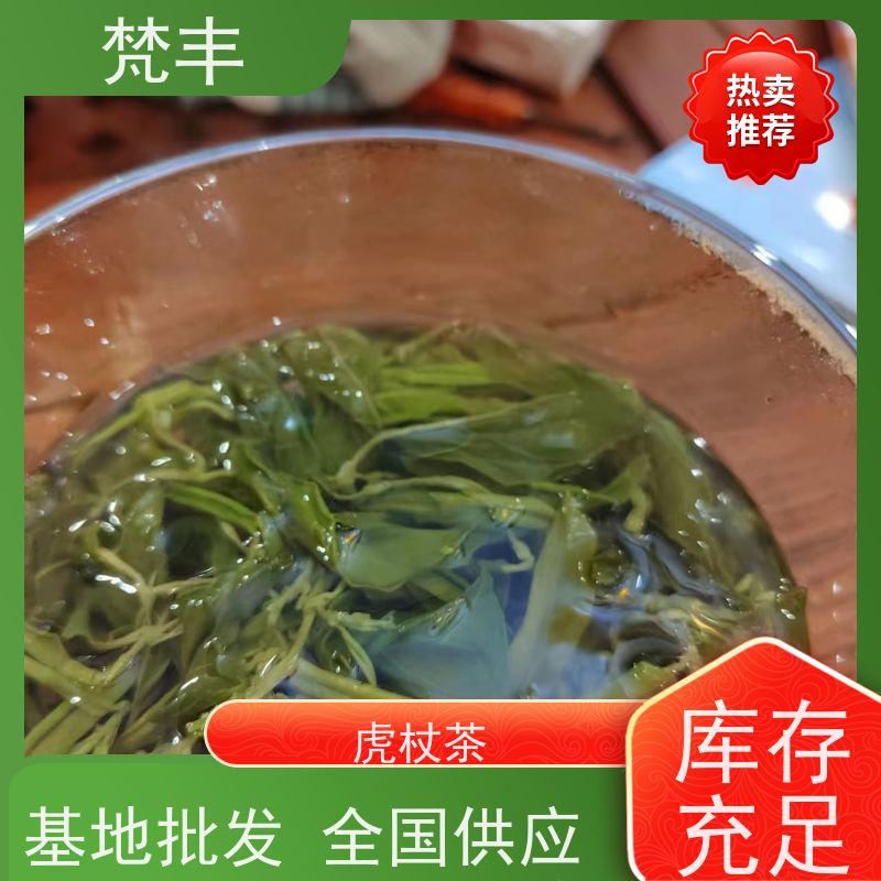 梵丰 虎杖回收 原产地 种植基地 长期供应 诚信经营