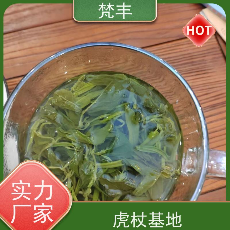 梵丰 虎杖用途 各种规格支持过筛 长期供应 诚信经营