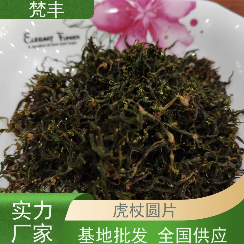 梵丰 虎杖种植技术 现挖 好种 易成活 基地直发 供货及时