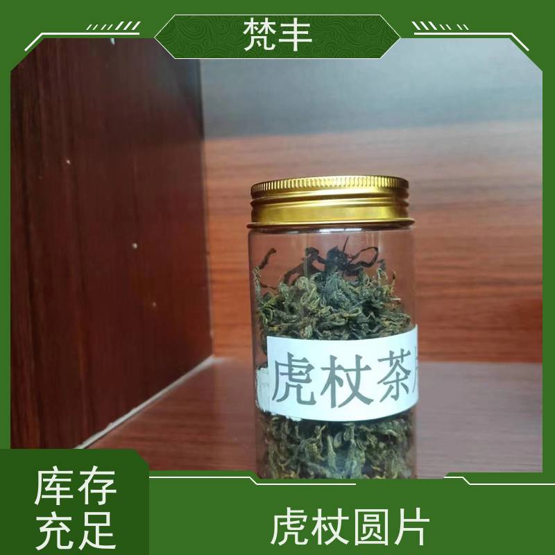 梵丰 虎杖回收 提供种植技术 基地直发 供货及时