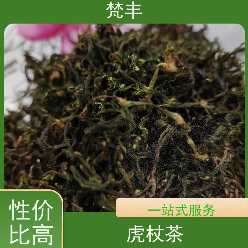 梵丰 虎杖圆片 各种规格支持过筛 基地直发 供货及时