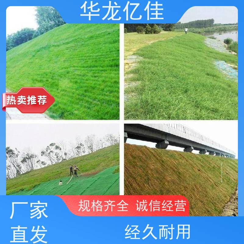 销售 椰丝草籽毯 河道护坡绿化植草毯 应用广泛