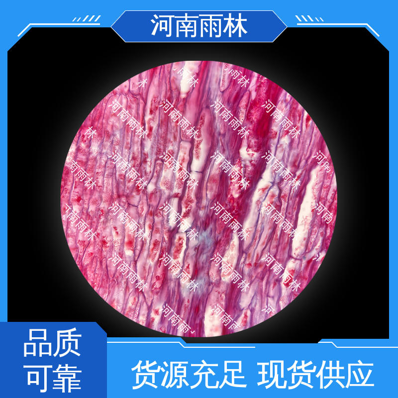性价比高 个性化定做 质量保障 病害标本 雨林教育
