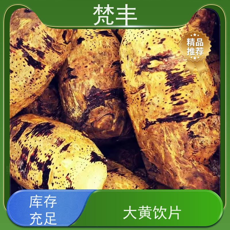 梵丰 马蹄大黄苗 手选大片原材料 长期供应 诚信经营