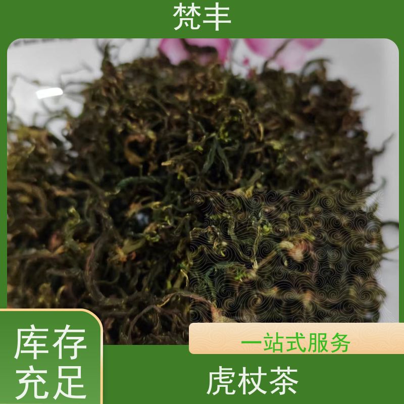 梵丰 虎杖驯化种子 中药材苗容易种活 基地直发 供货及时