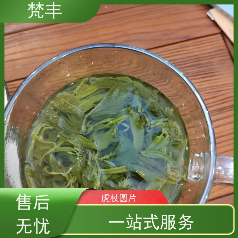 梵丰 虎杖种子 原产地 种植基地 库存充足 厂家供应