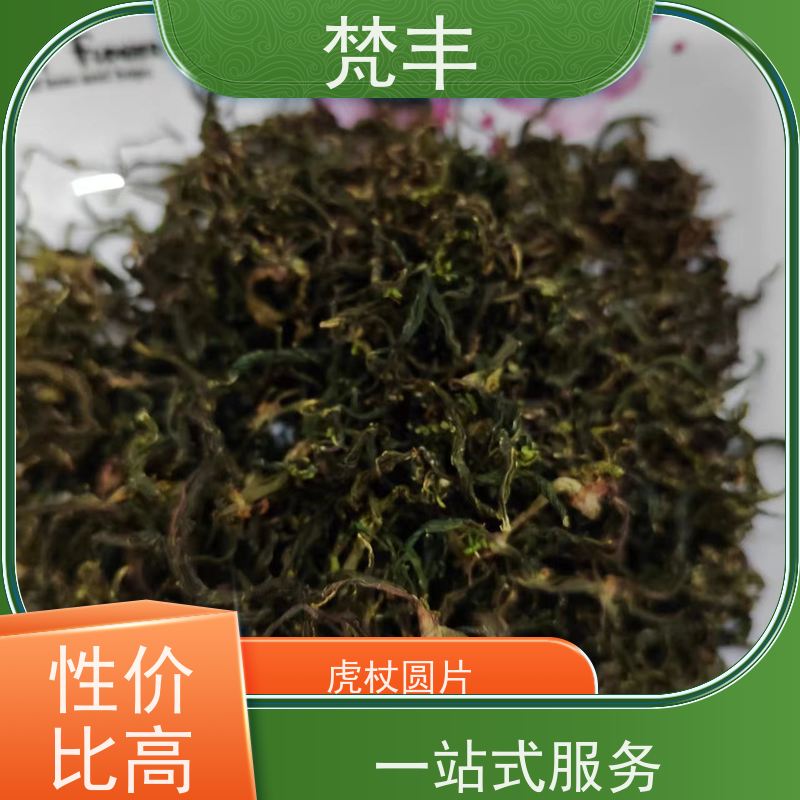 梵丰 虎杖基地 中药材苗容易种活 长期供应 诚信经营