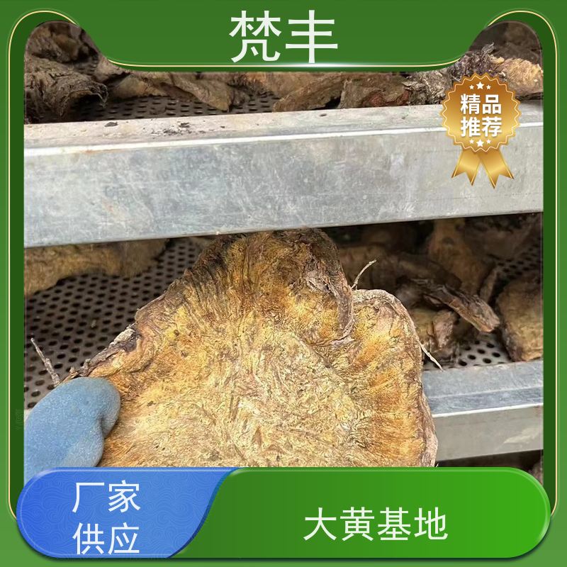 梵丰 大黄驯化技术 各种规格支持过筛 长期供应 诚信经营