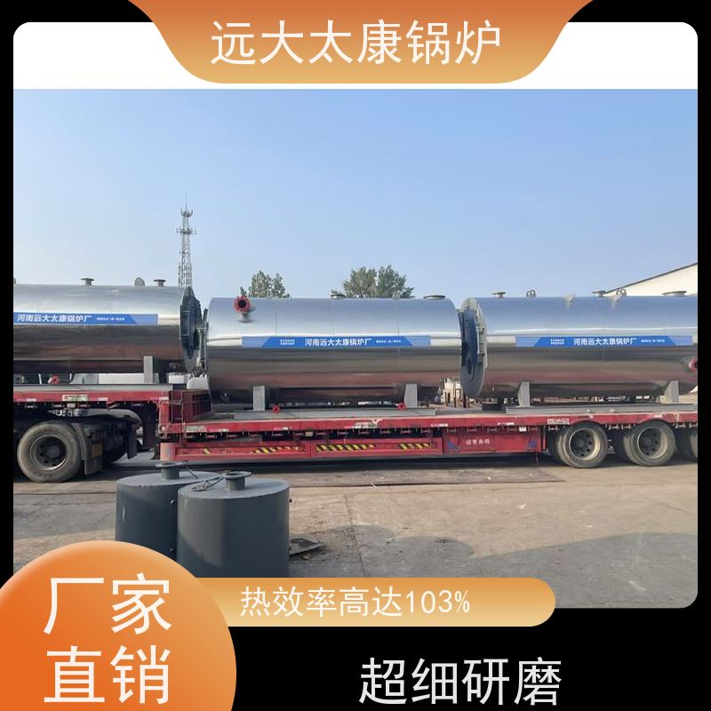 0.3吨 240KW 养殖虾池加温 猪舍鸡舍取暖 燃气热水锅炉