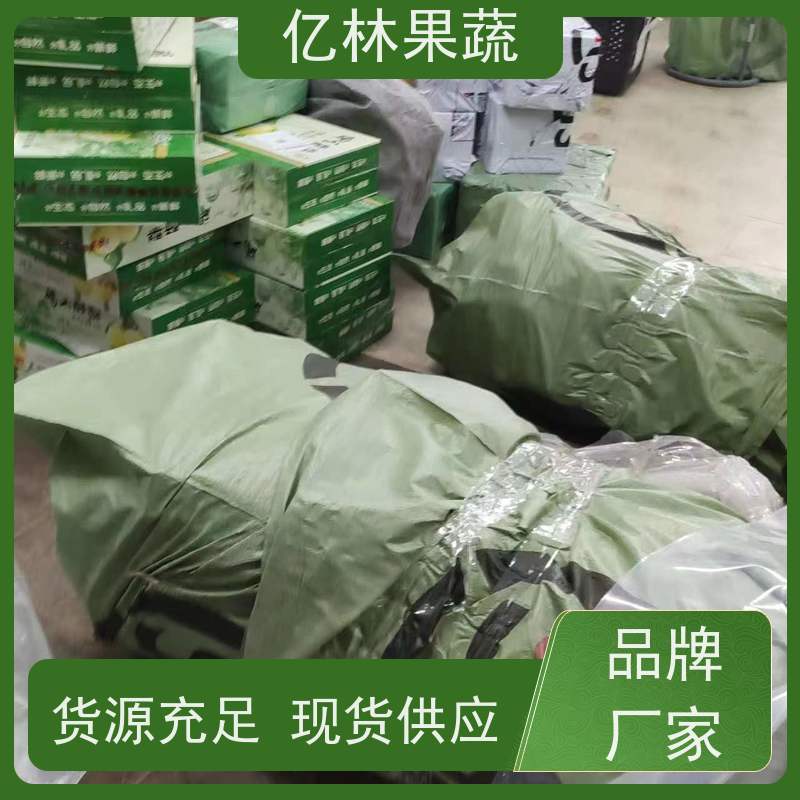 亿林苗木 油桃苗 园林绿化果树苗 抗寒能力强 基地直发