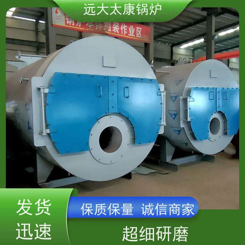 6吨 高铁桥梁蒸养 生物质蒸汽锅炉 远大太康 压力温度 冷凝低氮排放