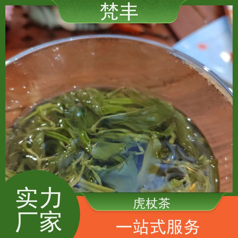 梵丰 虎杖片 手选大片原材料 库存充足 厂家供应