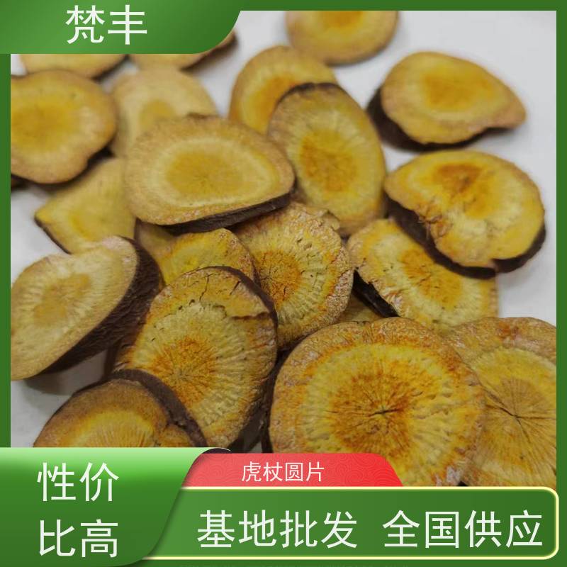 梵丰 虎杖管理方法 中药材苗容易种活 基地直发 供货及时