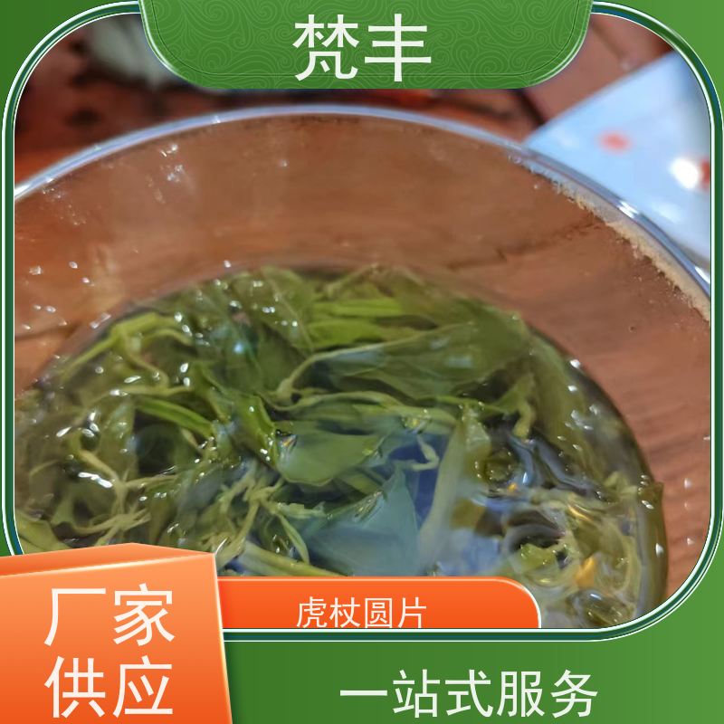 梵丰 虎杖种植技术 中药材苗容易种活 库存充足 