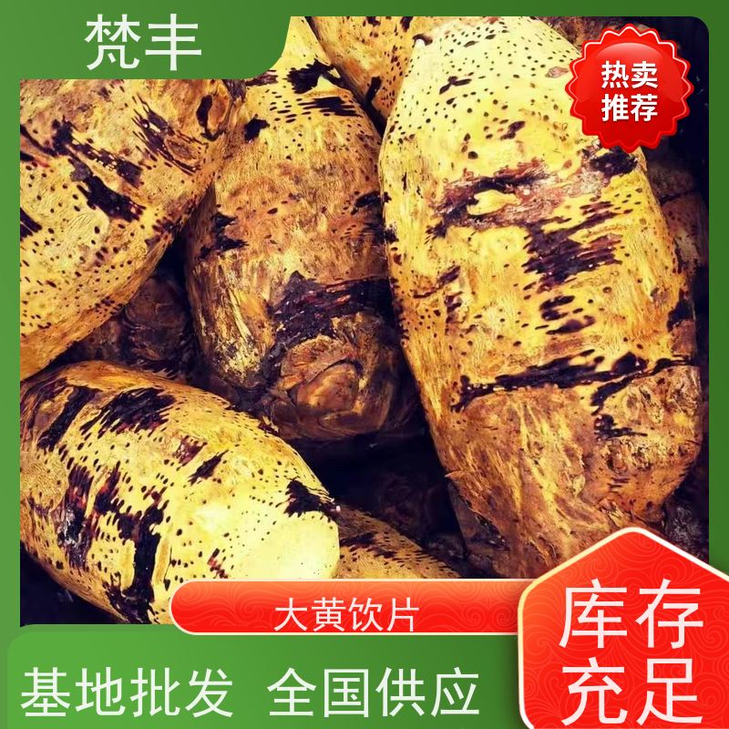 梵丰 大黄种植技术 成活率高 品质好 欢迎来电洽谈