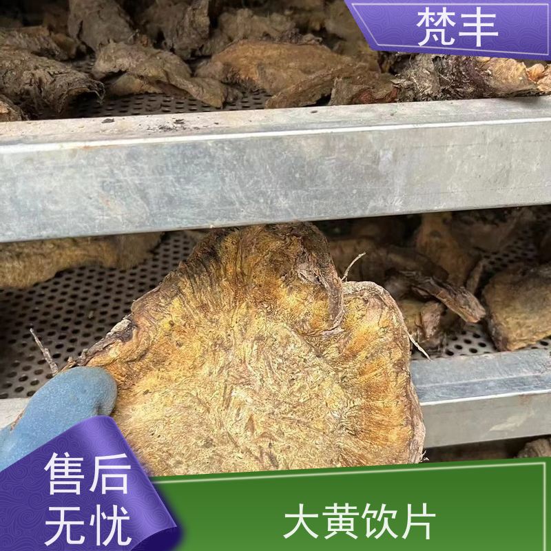 梵丰 大黄饮片 各种规格支持过筛 欢迎来电洽谈