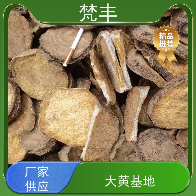 梵丰 大黄驯化种子 抗虫害全国发货 库存充足 厂家供应