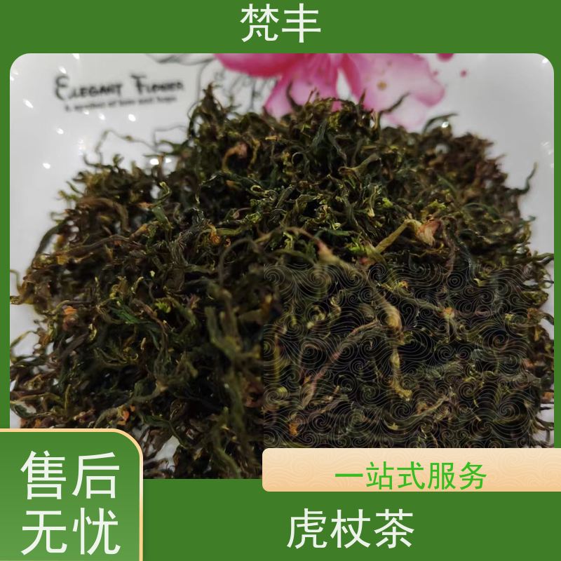 梵丰 虎杖圆片 中药材苗容易种活 基地直发 供货及时