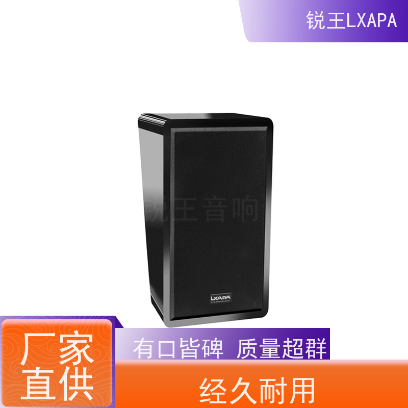 锐王LXAPA 会议系统音箱 中高频音色清晰 全频线性音柱 演艺音响器材