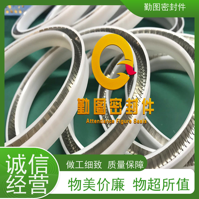勤图 耐海水密封圈 广泛应用于压力容器等领域 规格齐全 支持定制