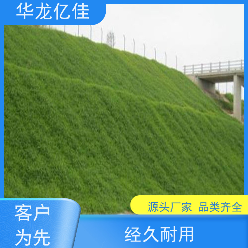 全新 生态毯 河道护坡绿化植草毯 华龙亿佳供应