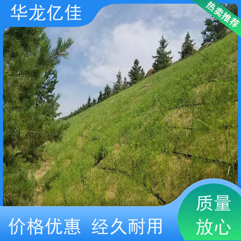 国标 植物纤维毯 荒漠治理植被固土 颜色金黄色 耐腐蚀