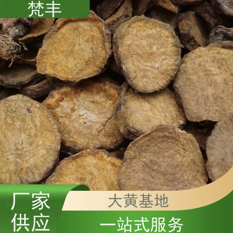 梵丰 大黄管理方法 原产地 种植基地 长期供应 诚信经营