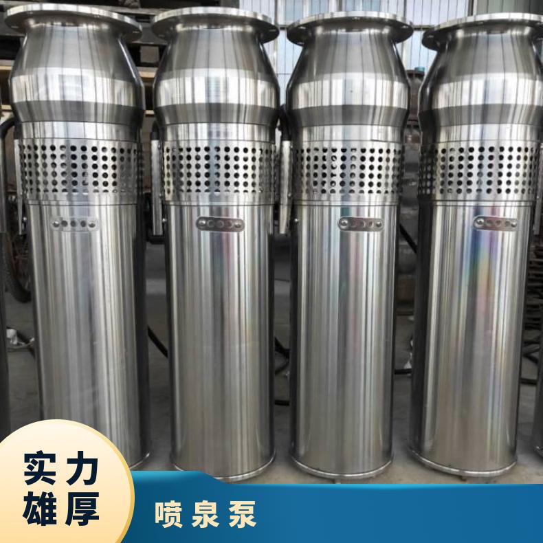 QSPF15-65/45.5M QSP喷泉厂家 10m~60m 不阻塞 清水泵 电动