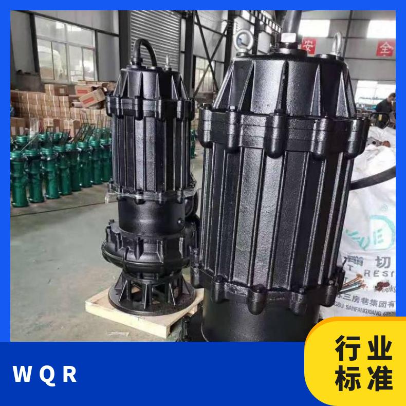 QWR300-8002075 WQR***潜水泵 全保排污泵 不阻塞 10m~60m 电动