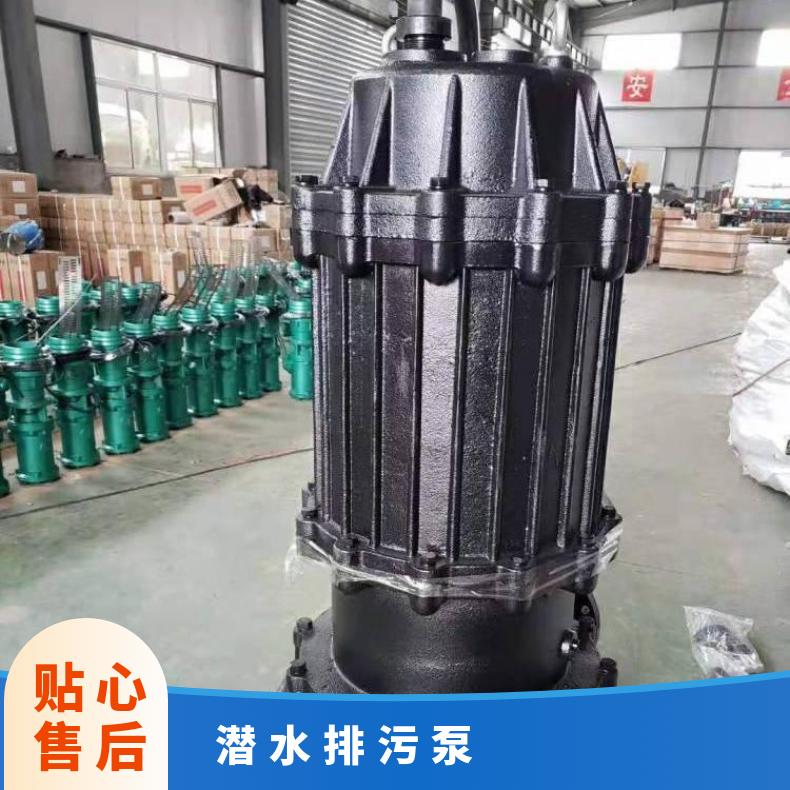 50WQP15-80.75 潜水排污泵 65QW252.2 电动 不阻塞 10m~60m